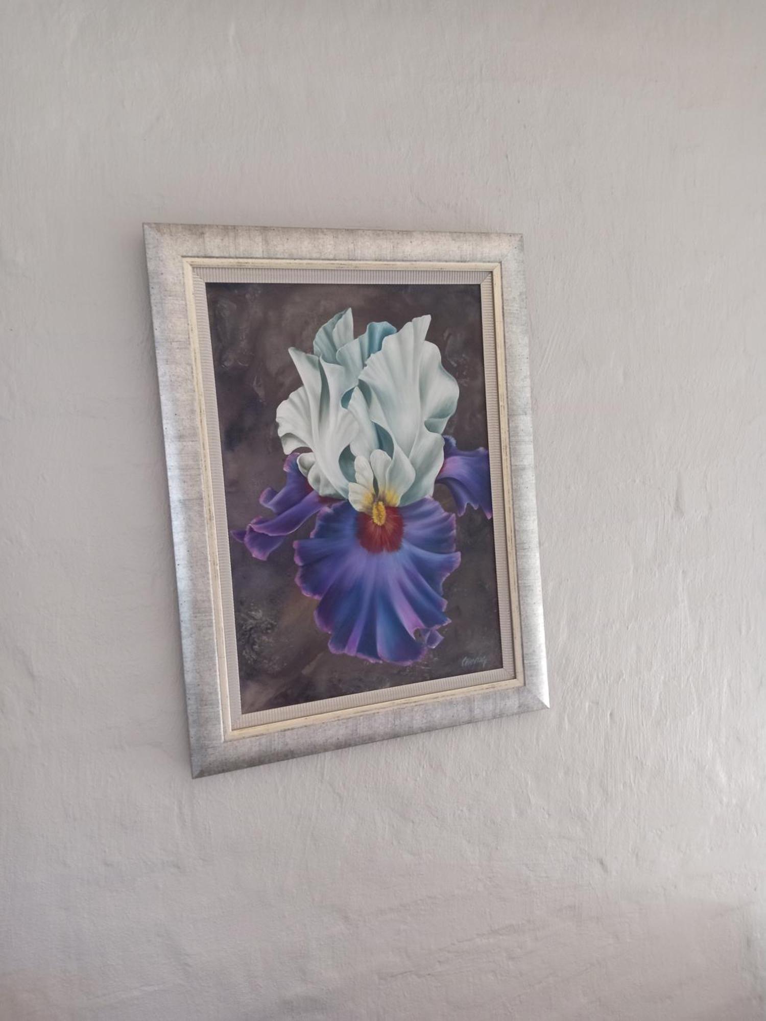 Chardonnay Holiday Apartment Jeffreys Bay Esterno foto